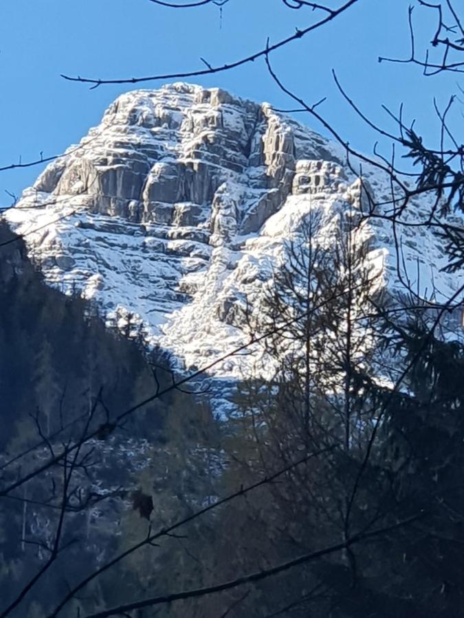 Ferienwohnung Pfarrhofbauer Sankt Martin bei Lofer Exterior foto